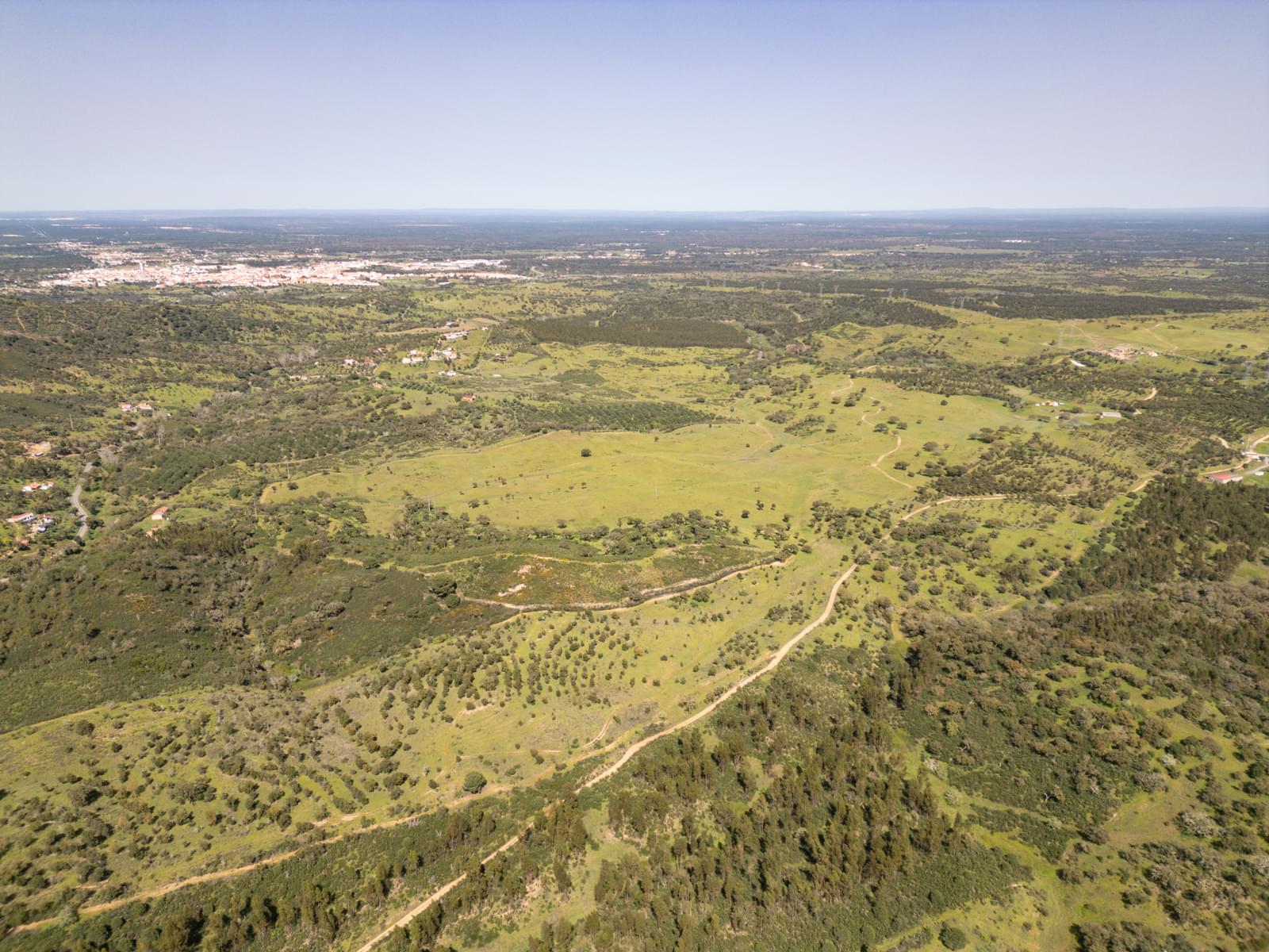 Quinta 40.6 ha, Grandola - Imagem 24