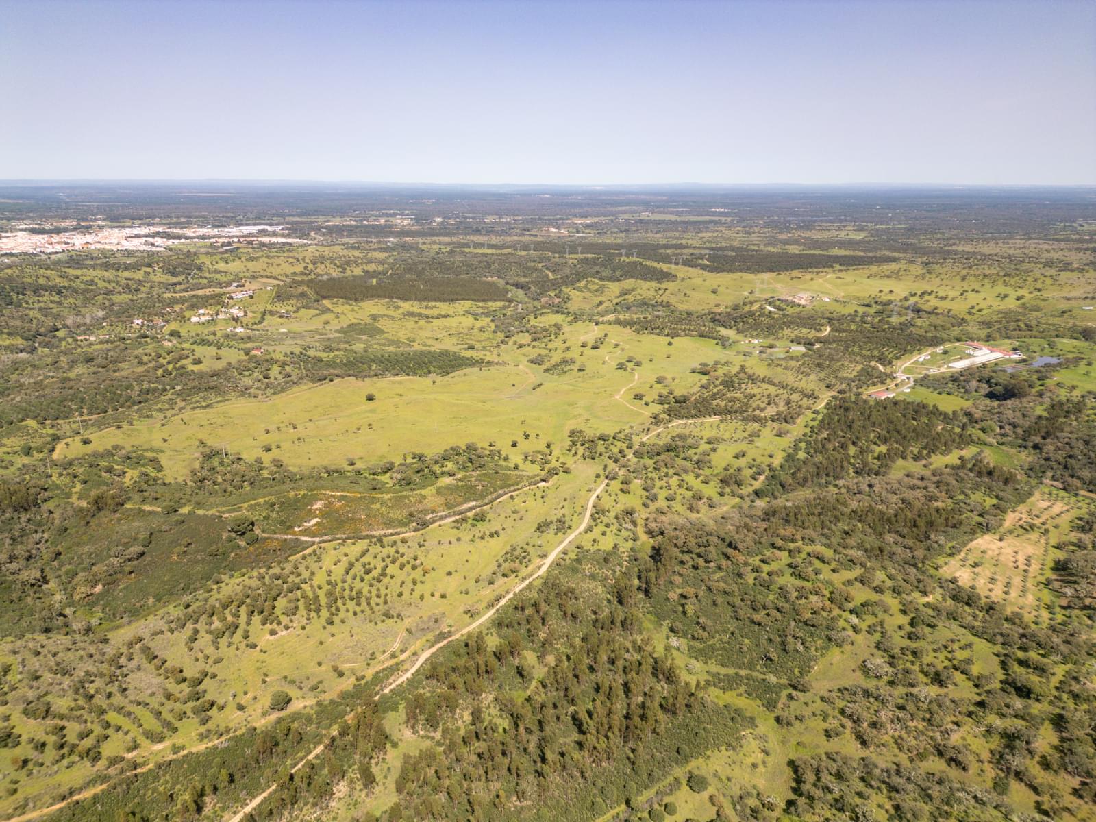 Quinta 40.6 ha, Grandola - Imagem 20