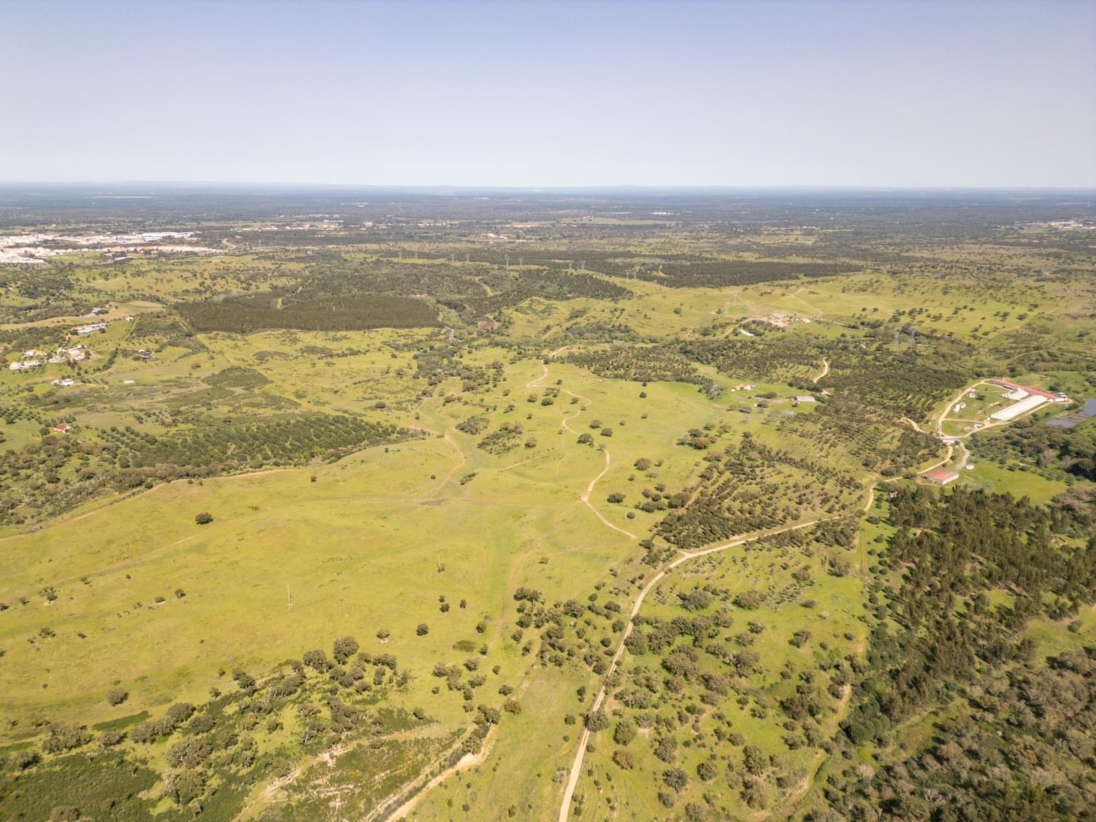 Quinta 40.6 ha, Grandola - Imagem 21