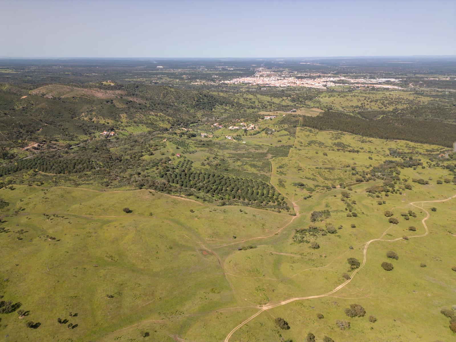 Quinta 40.6 ha, Grandola - Imagem 26