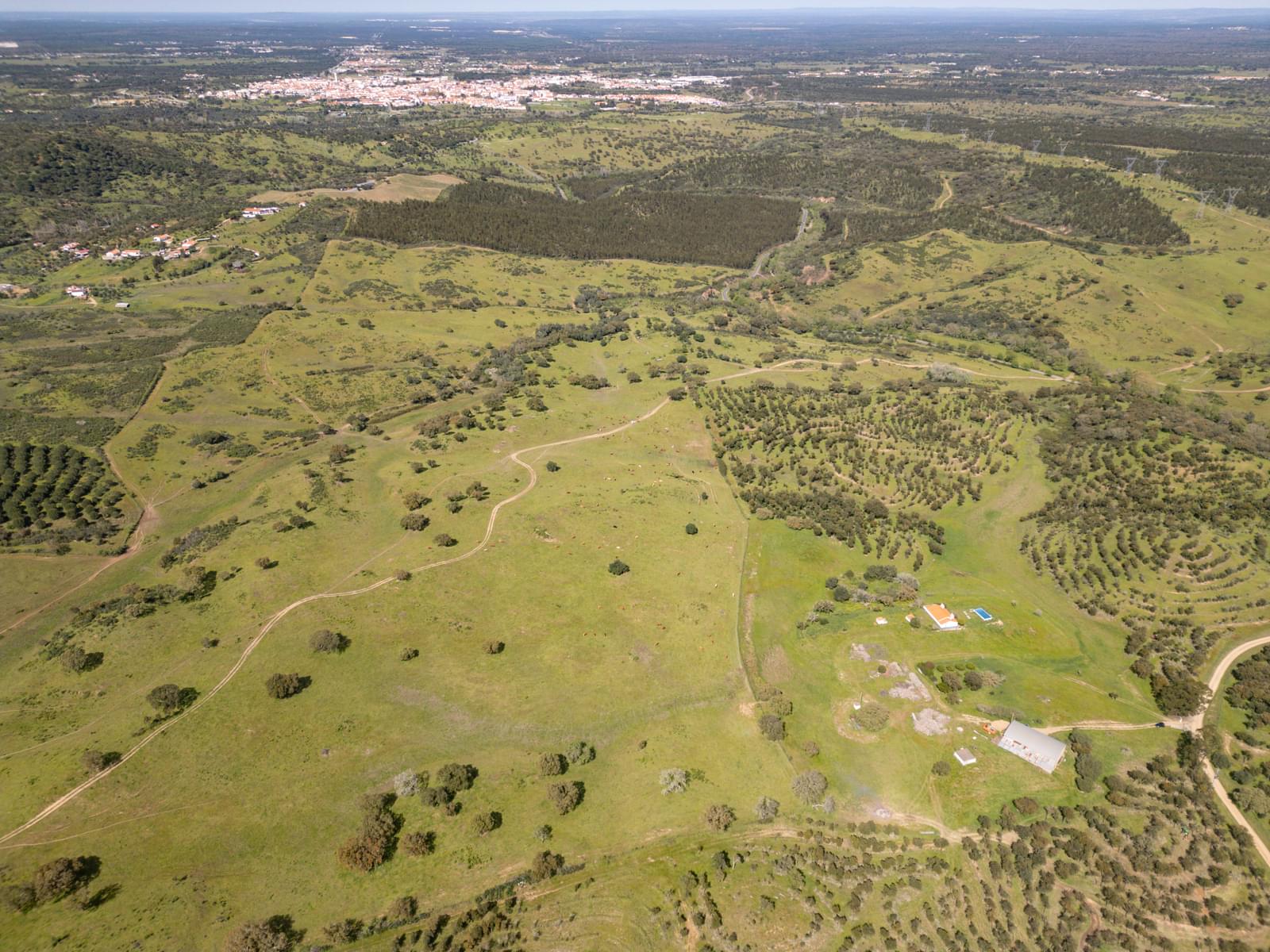 Quinta 40.6 ha, Grandola - Imagem 29