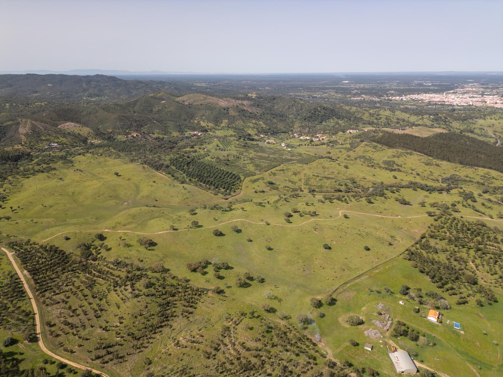 Quinta 40.6 ha, Grandola - Imagem 31