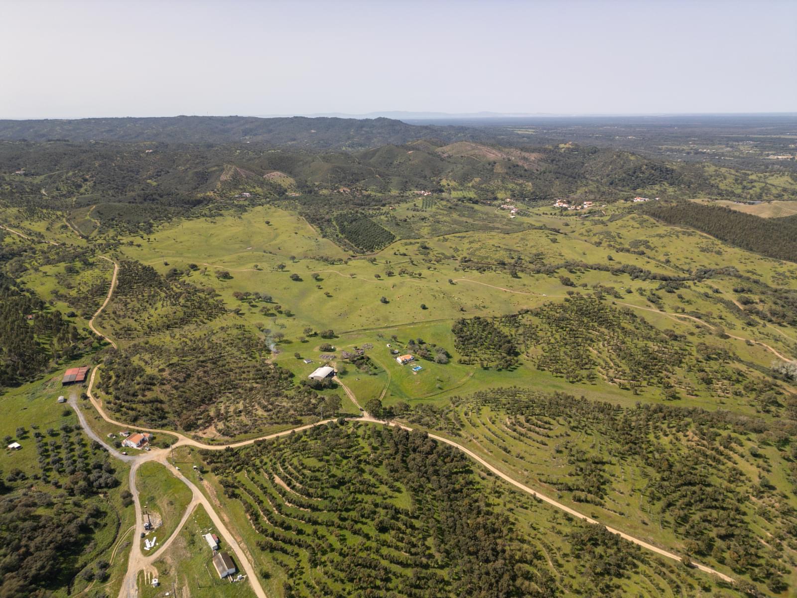 Quinta 40.6 ha, Grandola - Imagem 33