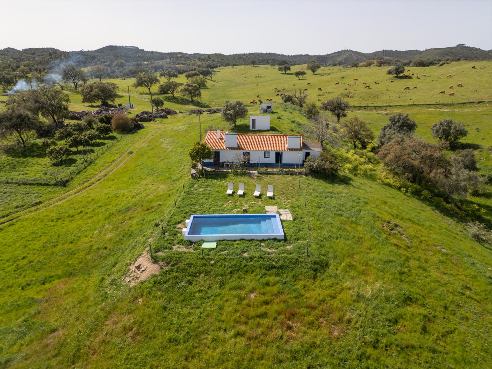 Quinta 40.6 ha, Grandola - Imagem 7