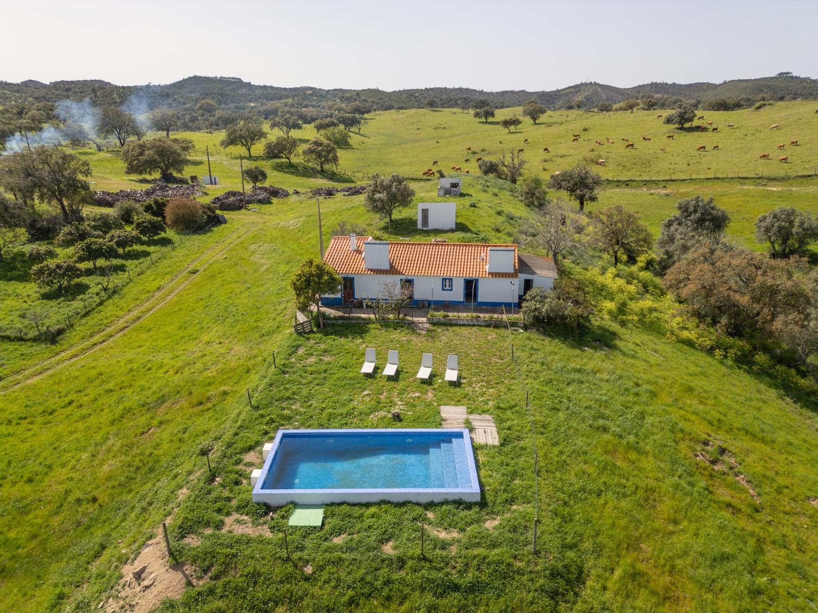 Quinta 40.6 ha, Grandola - Imagem 5