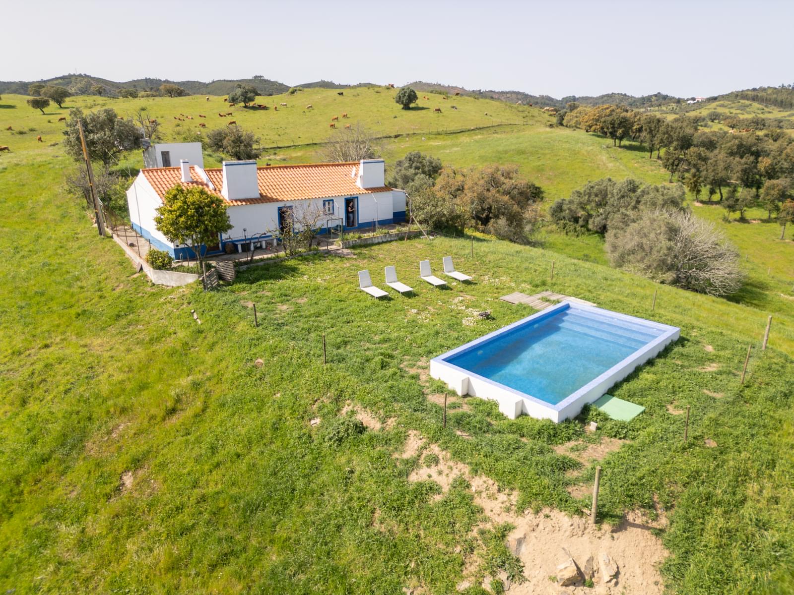 Quinta 40.6 ha, Grandola - Imagem 1