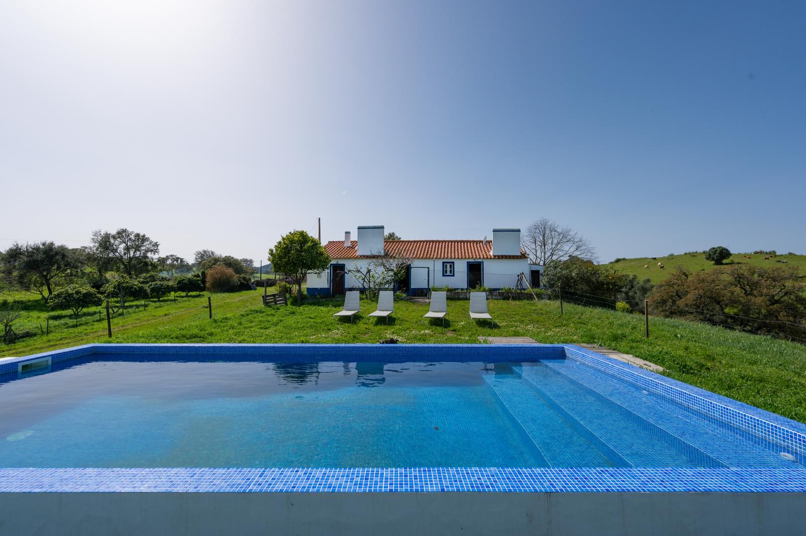 Quinta 40.6 ha, Grandola - Imagem 25