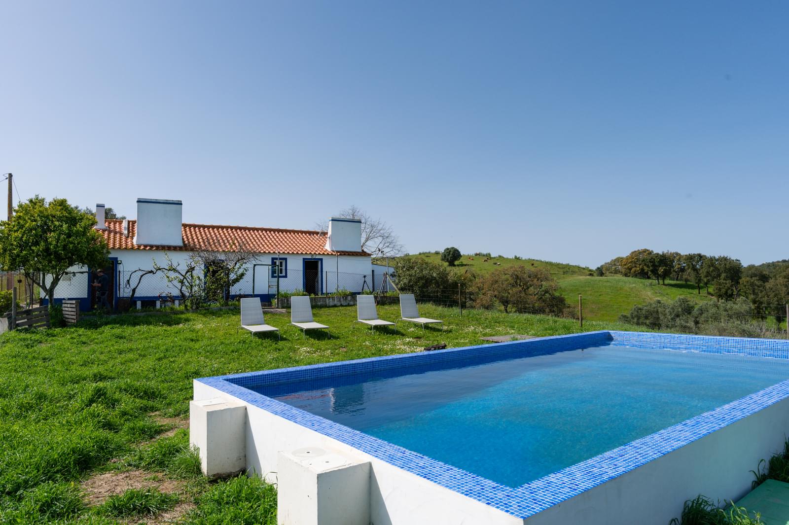 Quinta 40.6 ha, Grandola - Imagem 22