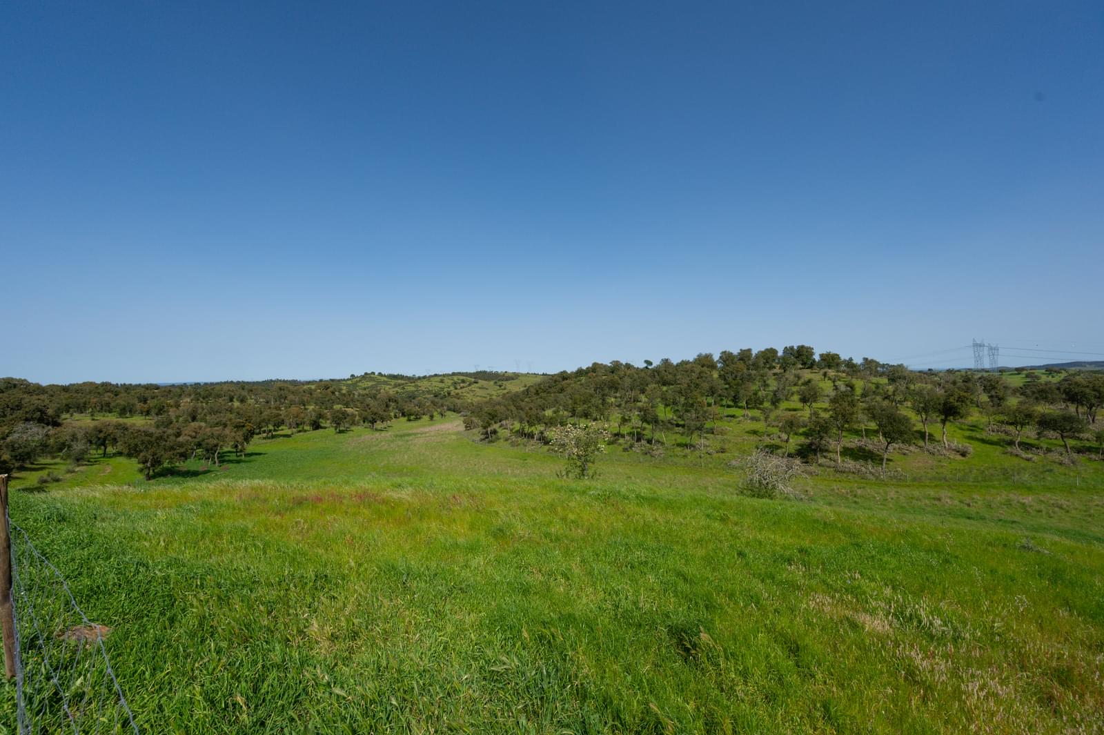 Quinta 40.6 ha, Grandola - Imagem 38