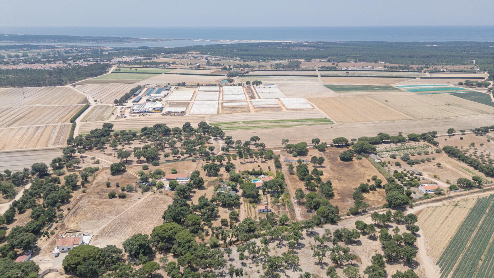 Quinta 1.3 ha, Lagoa de Santo André, Santiago do Cacem - Imagem 27