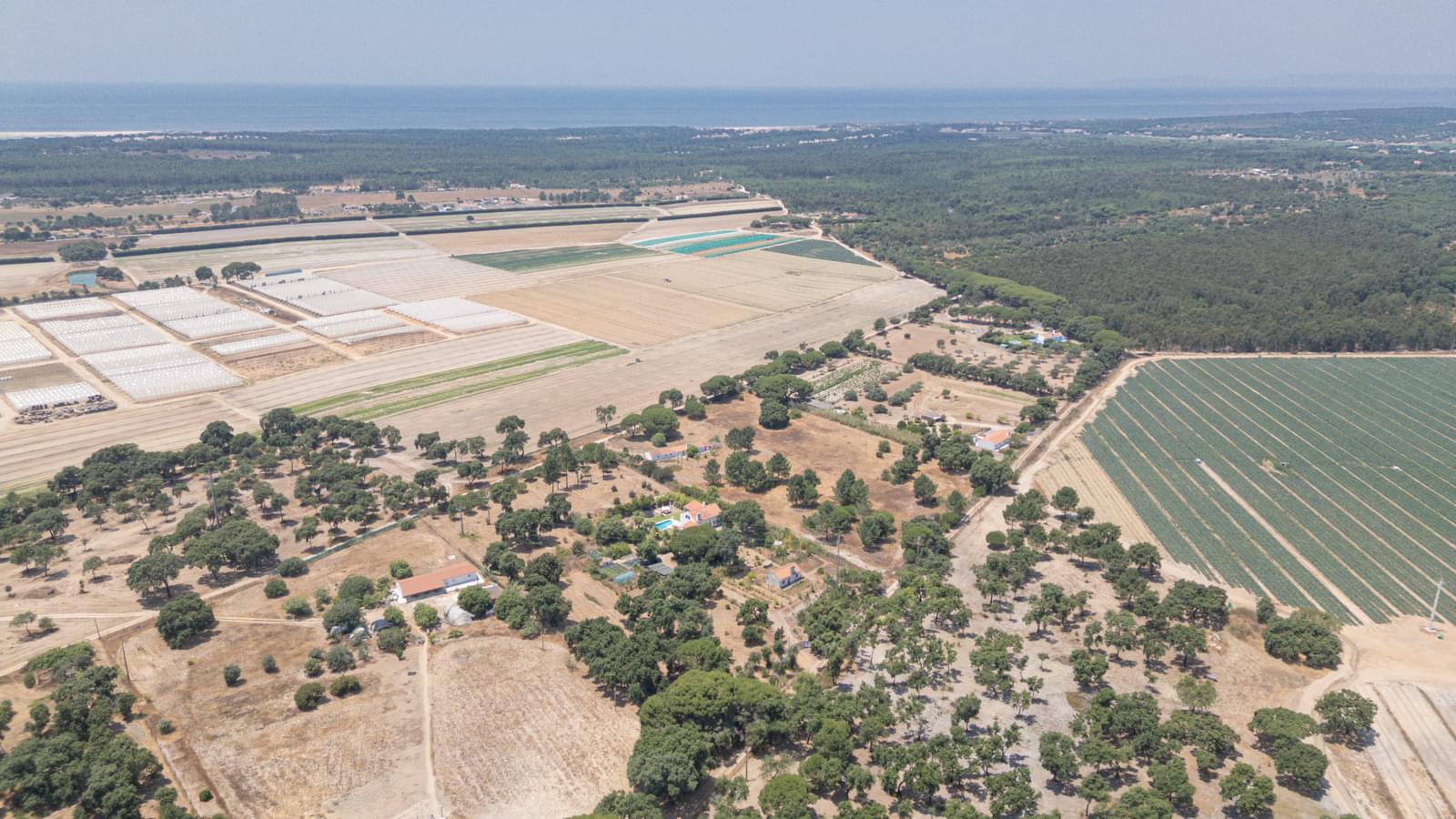 Quinta 1.3 ha, Lagoa de Santo André, Santiago do Cacem - Imagem 25