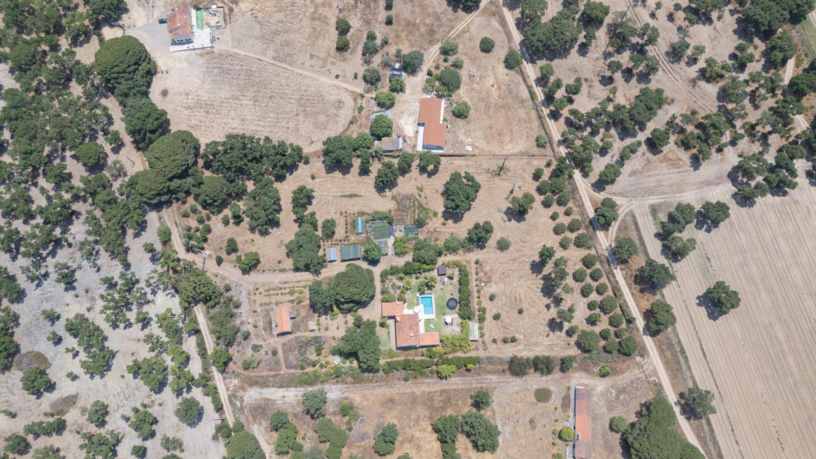 Quinta 1.3 ha, Lagoa de Santo André, Santiago do Cacem - Imagem 26