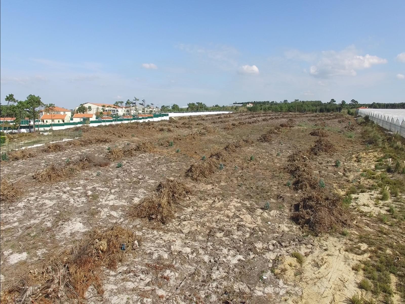Terreno Rústico em Perímetro Urbano 5.3 ha, Praia de Santa Cruz, Torres Vedras - Imagem 11