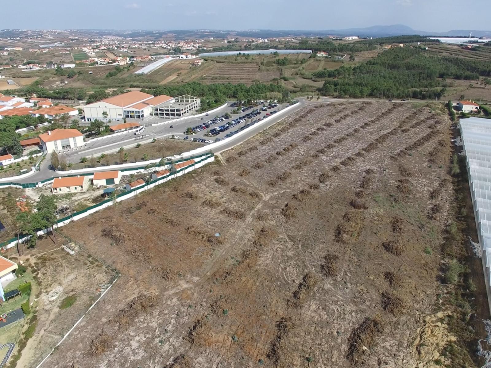 Terreno Rústico em Perímetro Urbano 5.3 ha, Praia de Santa Cruz, Torres Vedras - Imagem 12