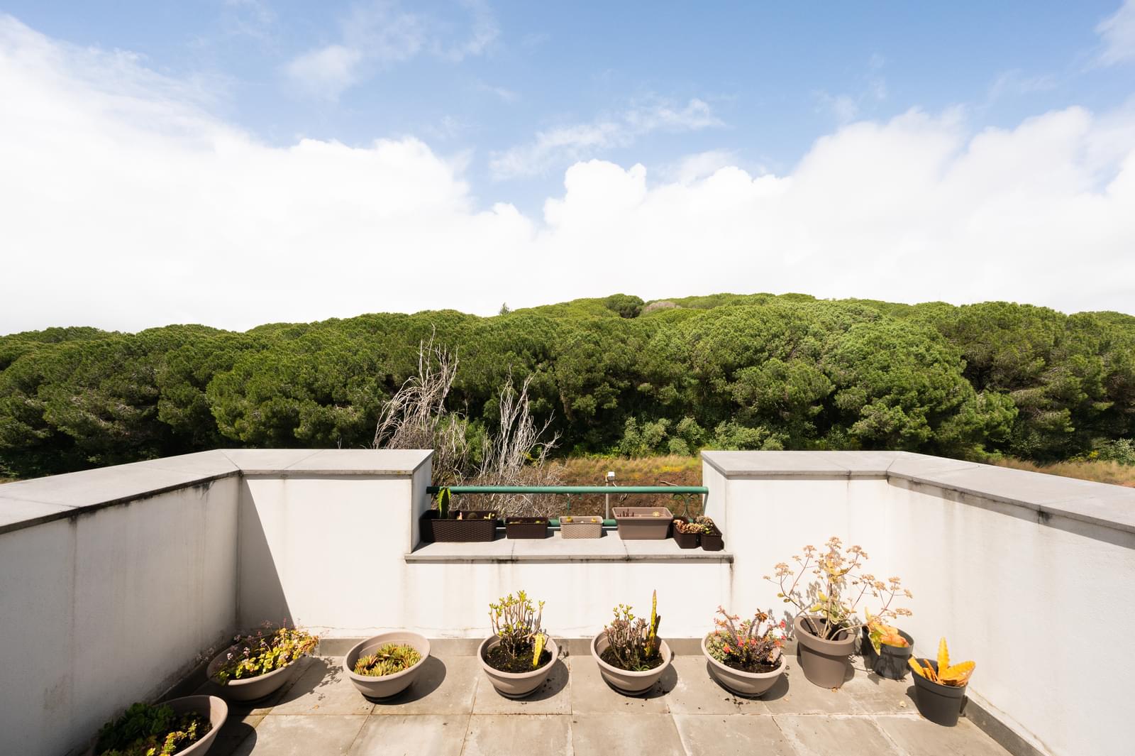 Moradia T7 com piscina, Restelo, Lisboa - Imagem 33