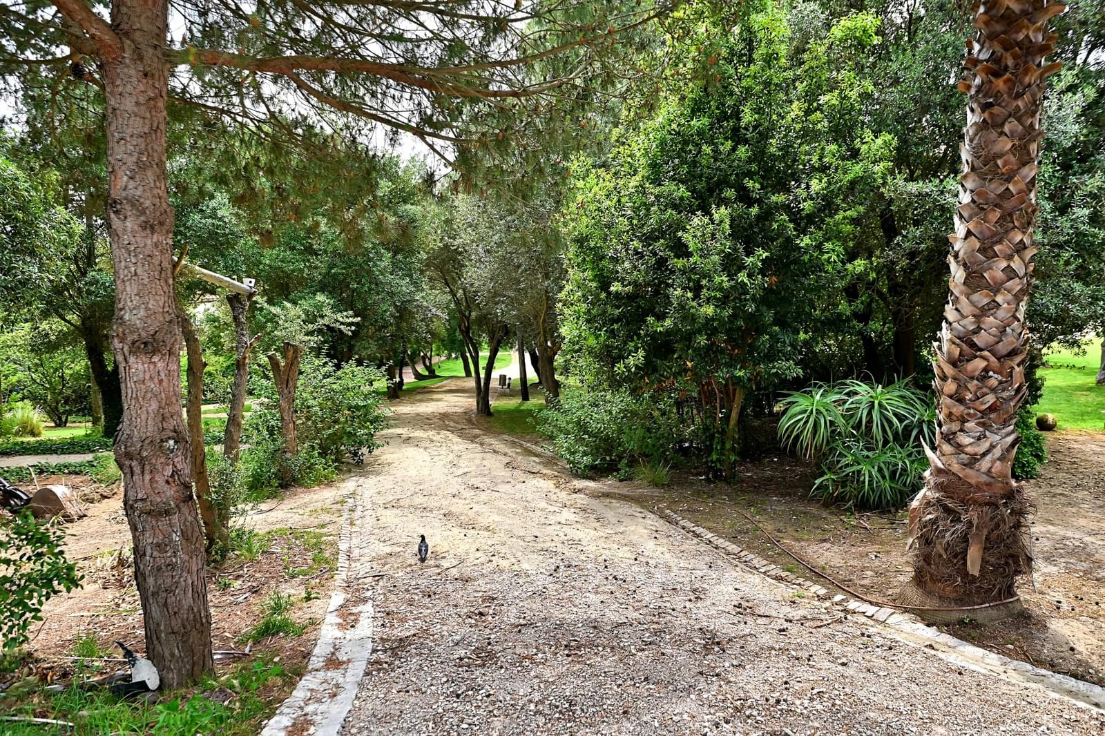 Apartamento T2 com piscina, Paço de Arcos, Oeiras - Imagem 28