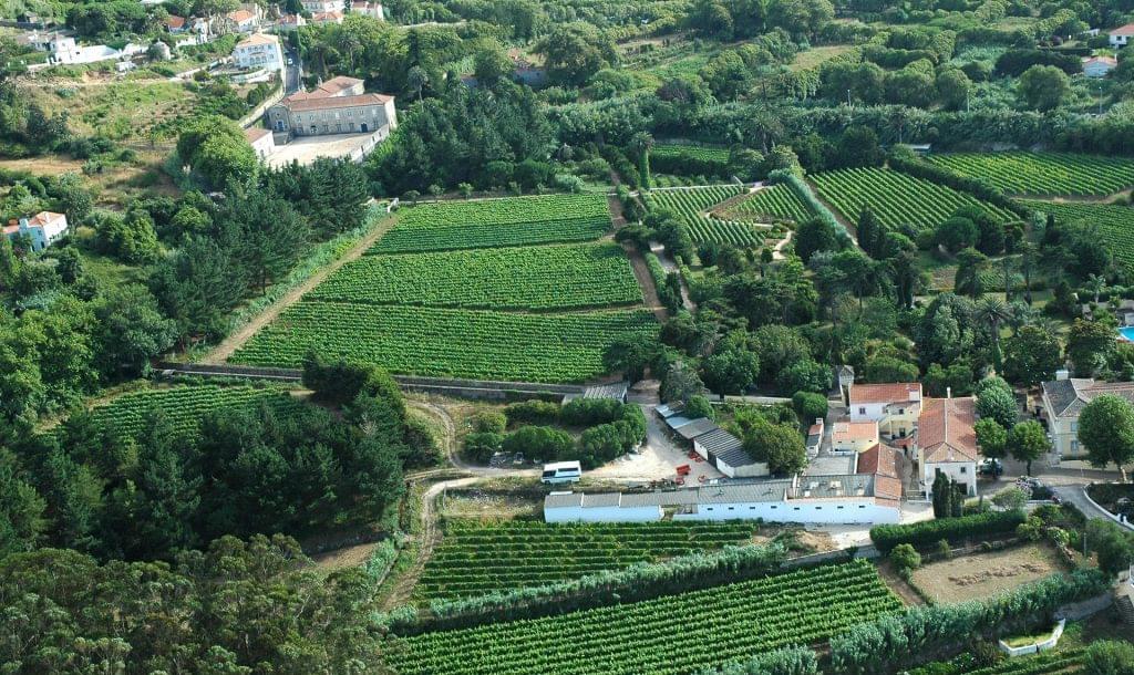 Quinta 10.0 ha, Colares, Sintra - Imagem 1