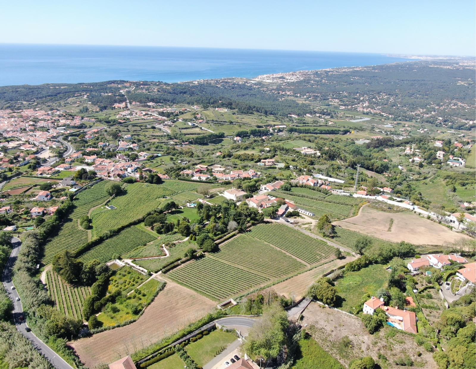 Quinta 10.0 ha, Colares, Sintra - Imagem 21