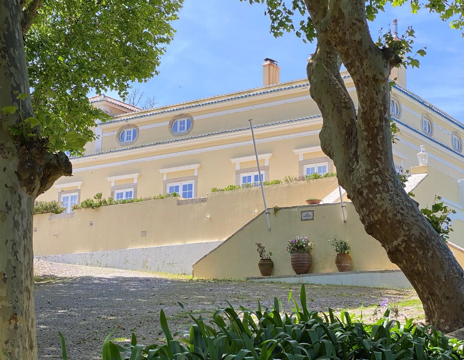 Quinta 10.0 ha, Colares, Sintra - Imagem 3
