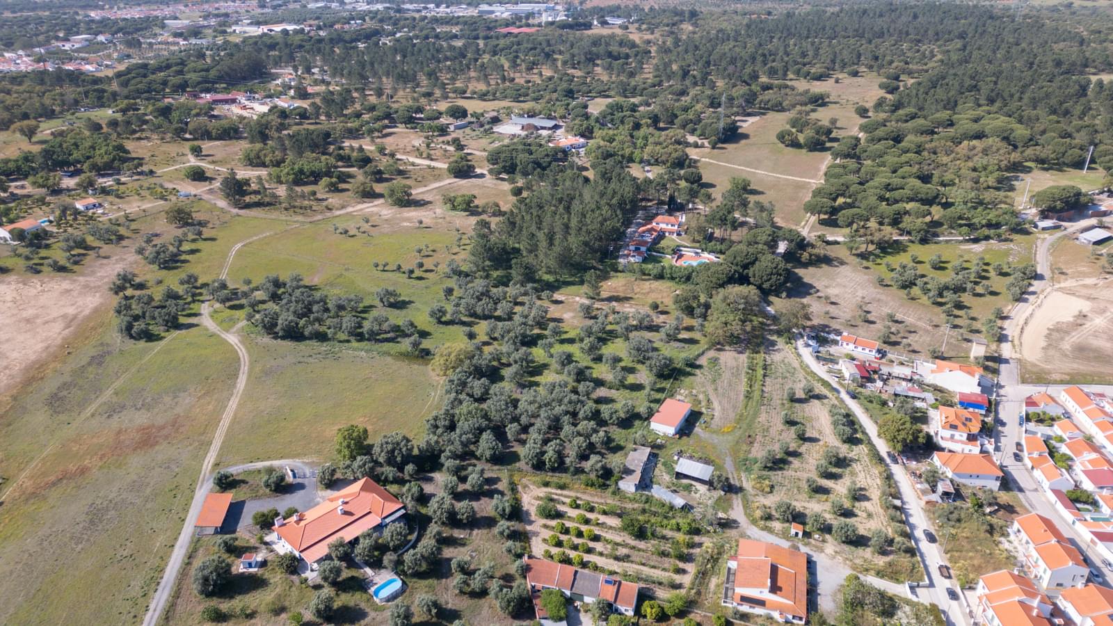 Terreno Rústico em Perímetro Urbano 1.5 ha, Álcacer do Sal, Alcacer do Sal - Imagem 16