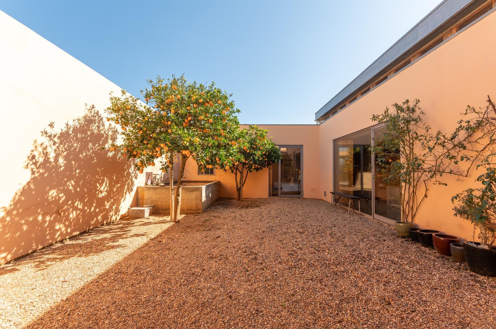 Moradia T4 com piscina, Beja - Imagem 4