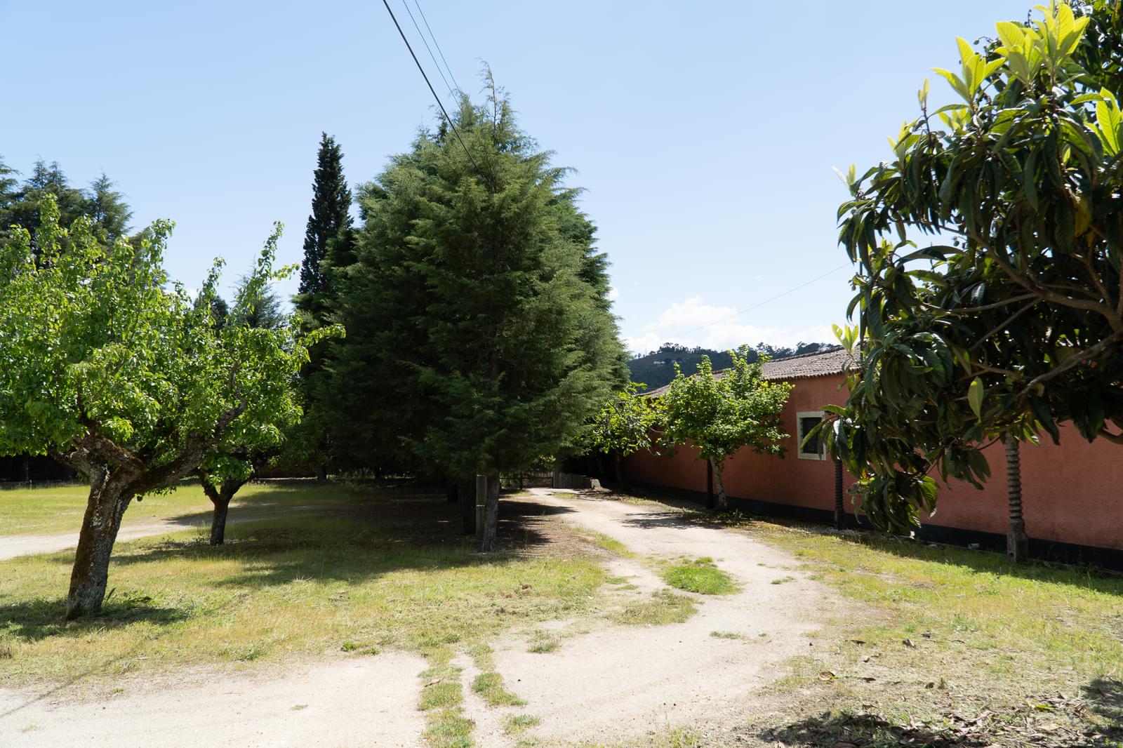 Quinta 7.1 ha, Miranda do Corvo - Imagem 53