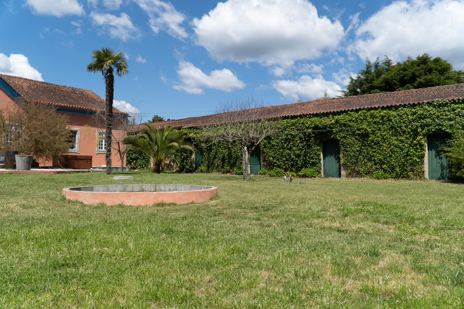 Quinta 7.1 ha, Miranda do Corvo - Imagem 7