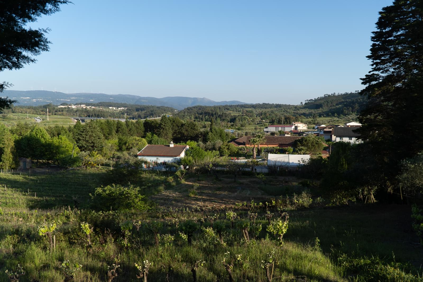 Quinta 7.1 ha, Miranda do Corvo - Imagem 75