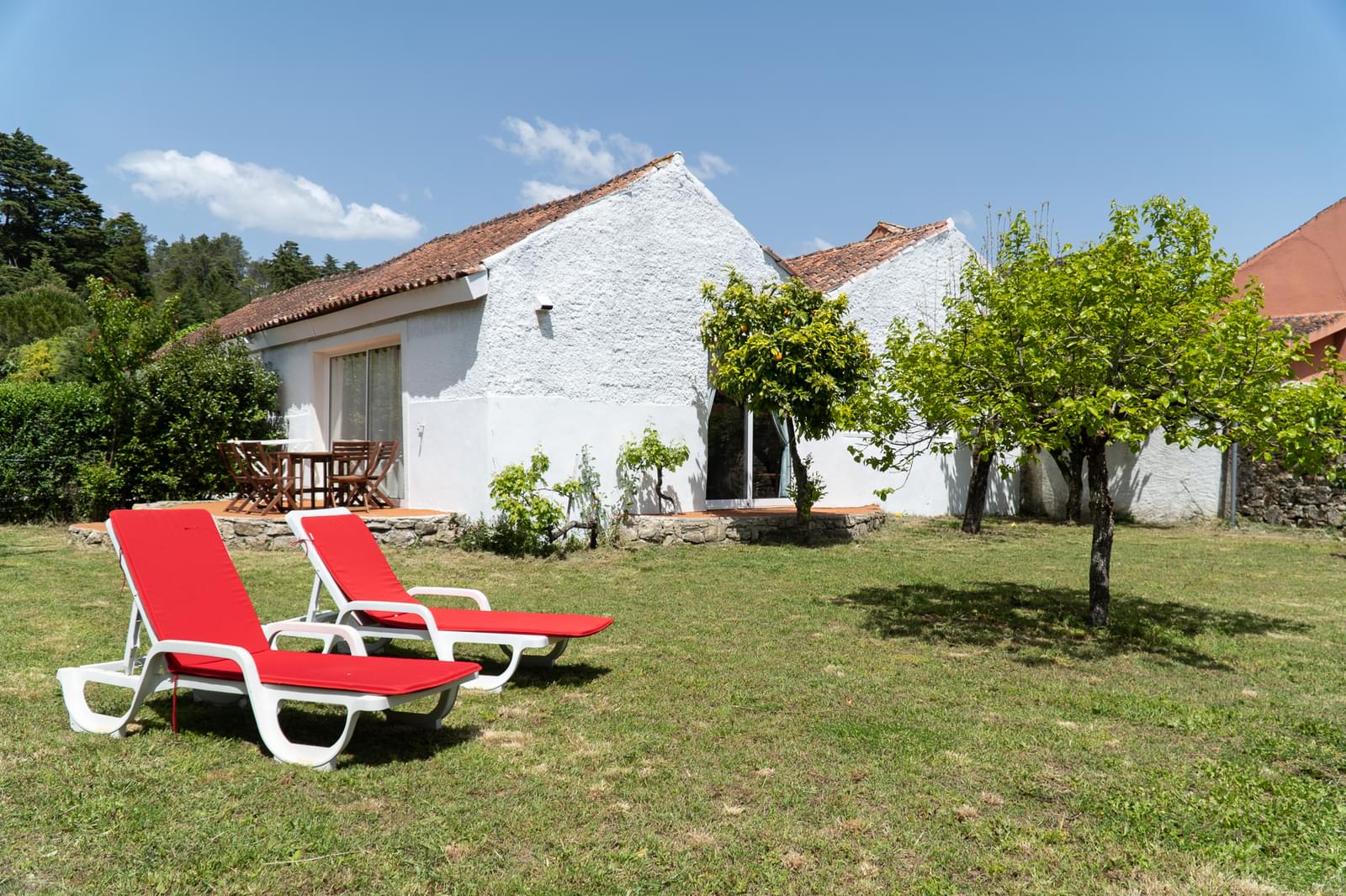 Quinta 7.1 ha, Miranda do Corvo - Imagem 48