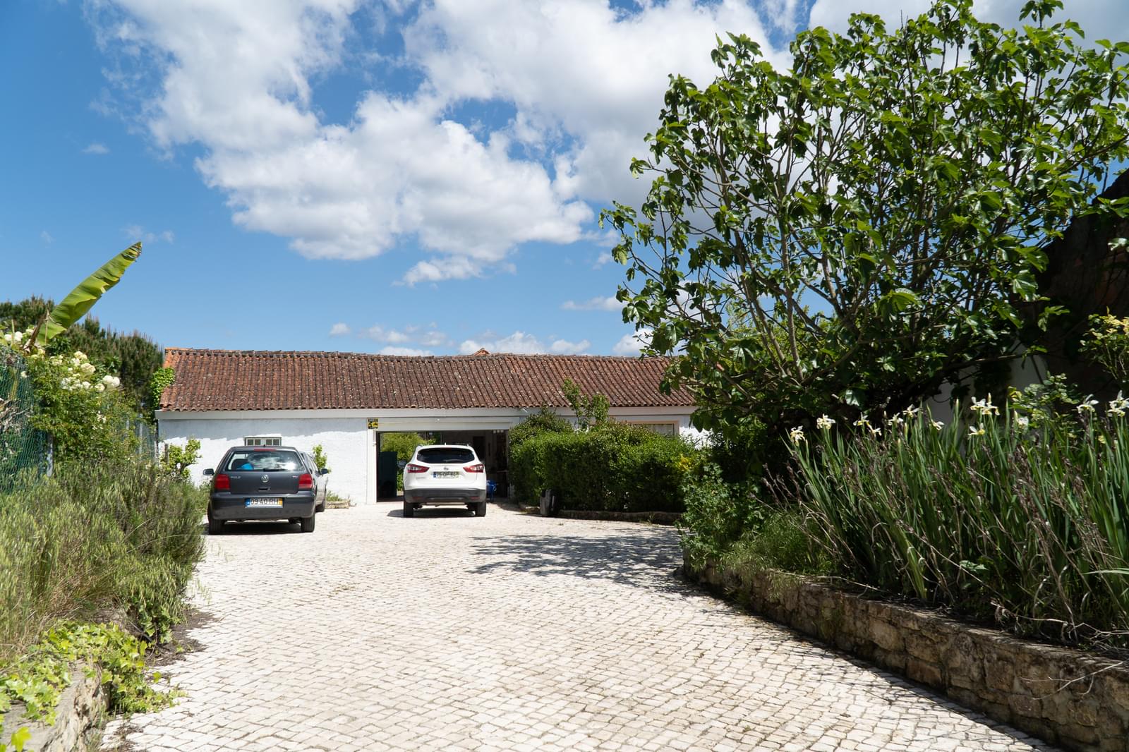 Quinta 7.1 ha, Miranda do Corvo - Imagem 74