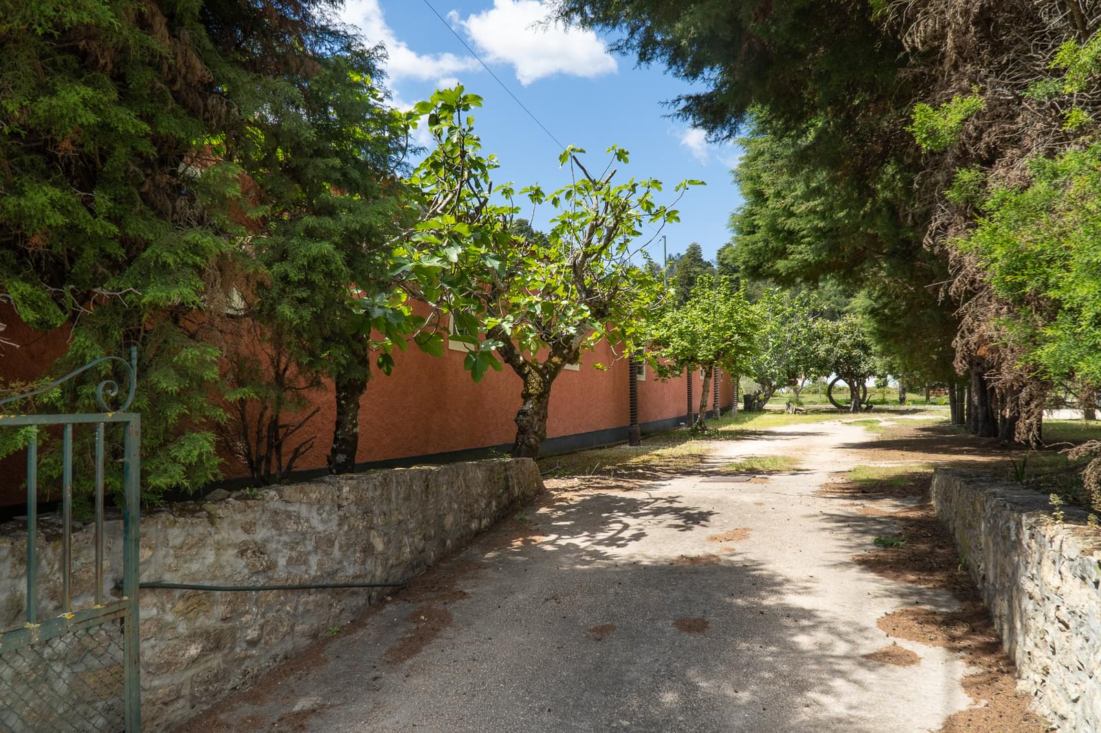 Quinta 7.1 ha, Miranda do Corvo - Imagem 51