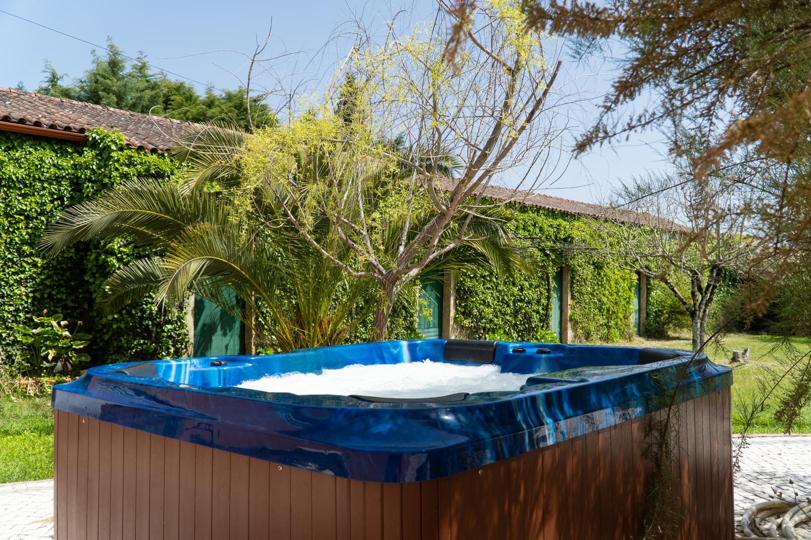 Quinta 7.1 ha, Miranda do Corvo - Imagem 26