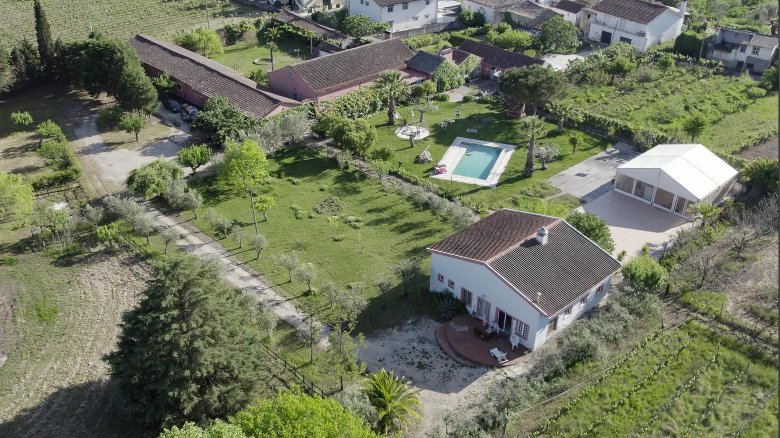 Quinta 7.1 ha, Miranda do Corvo - Imagem 60