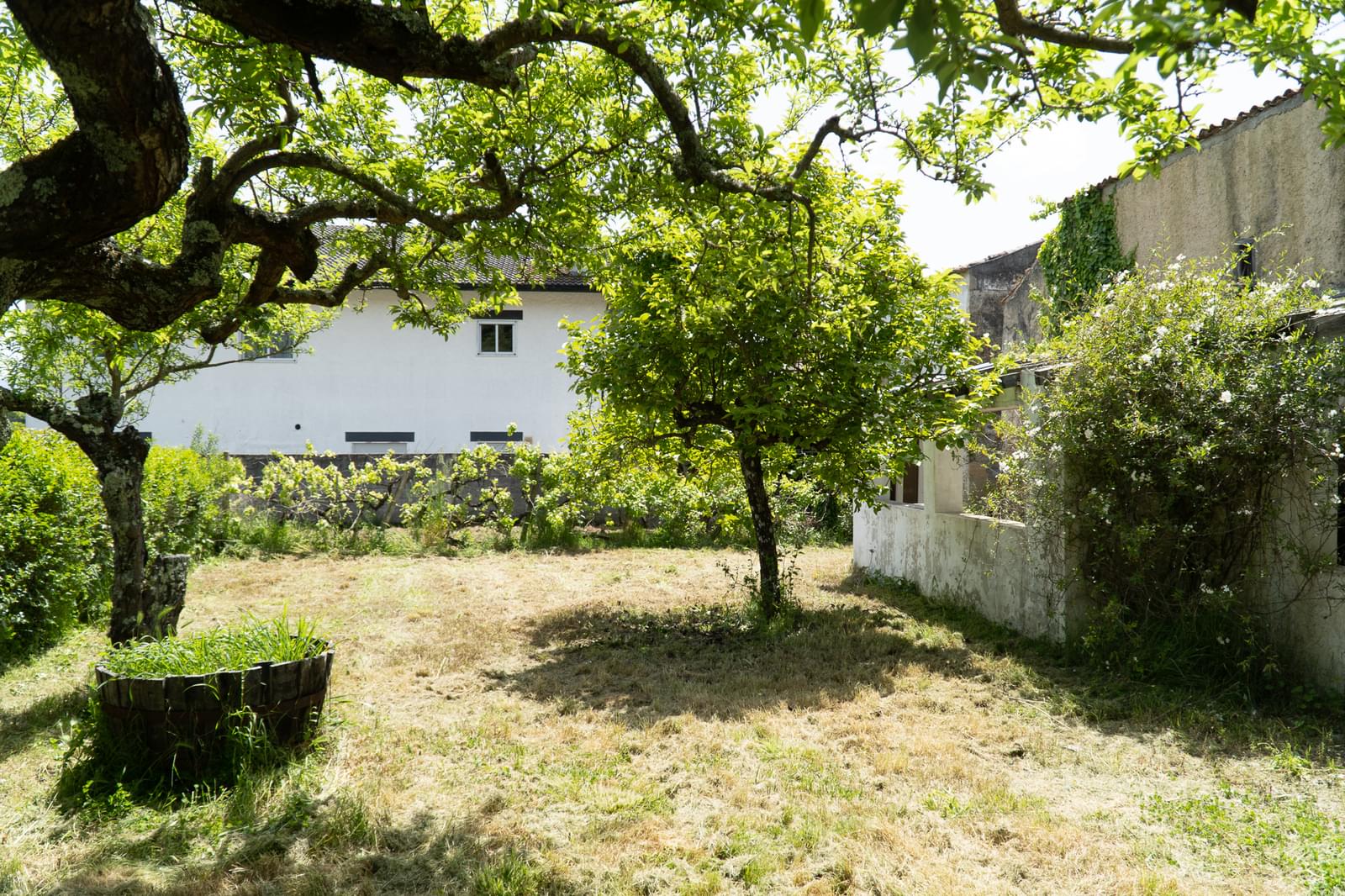Quinta 7.1 ha, Miranda do Corvo - Imagem 76