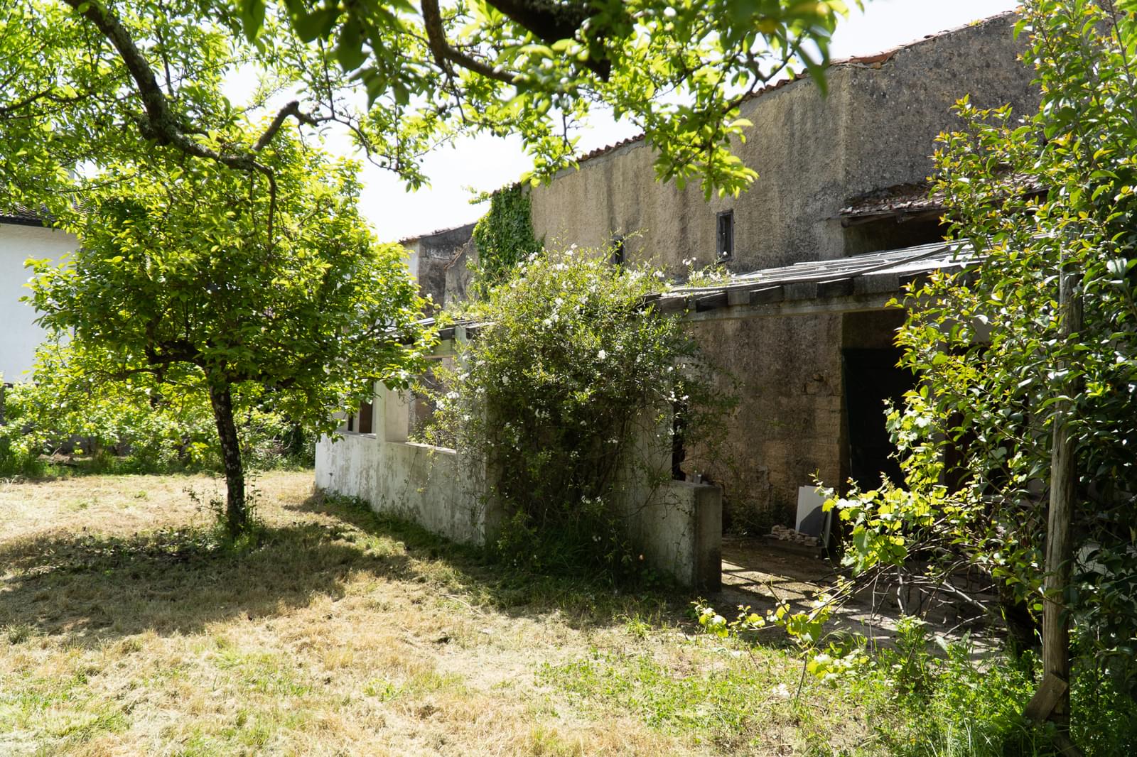 Quinta 7.1 ha, Miranda do Corvo - Imagem 77