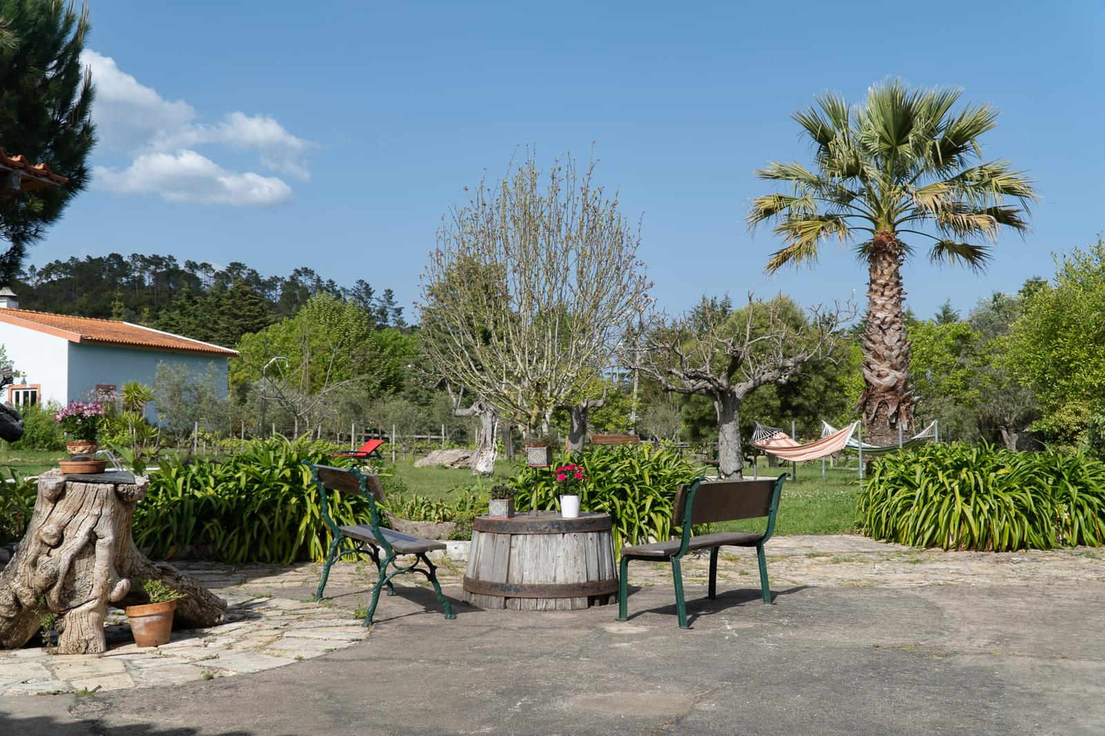 Quinta 7.1 ha, Miranda do Corvo - Imagem 64
