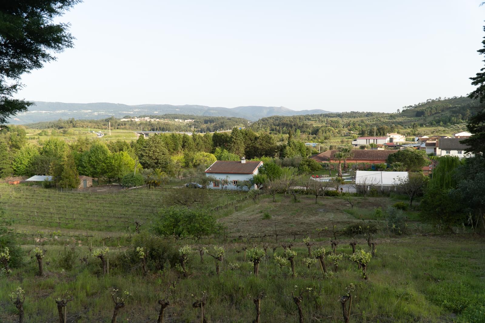 Quinta 7.1 ha, Miranda do Corvo - Imagem 65