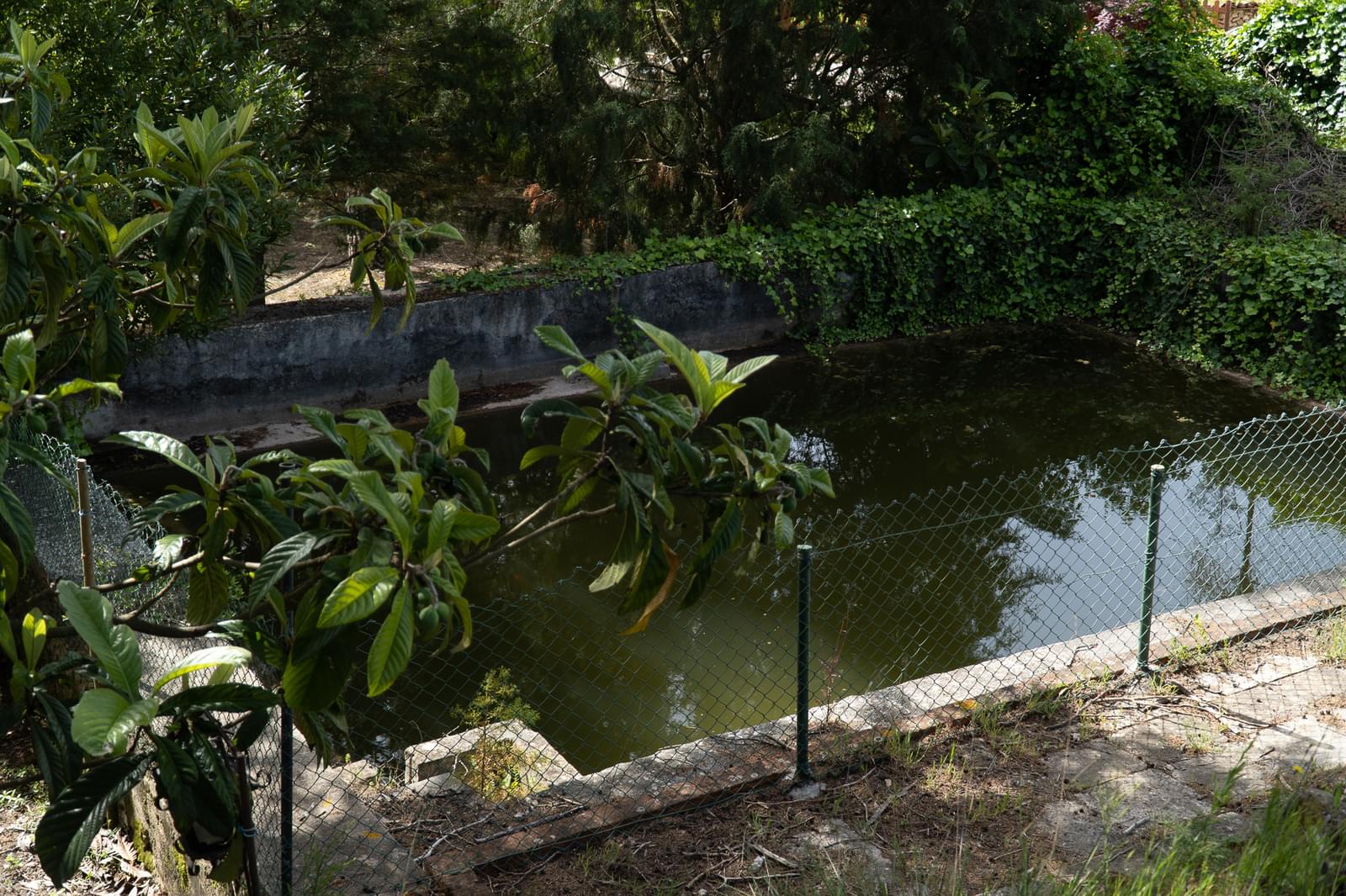 Quinta 7.1 ha, Miranda do Corvo - Imagem 66