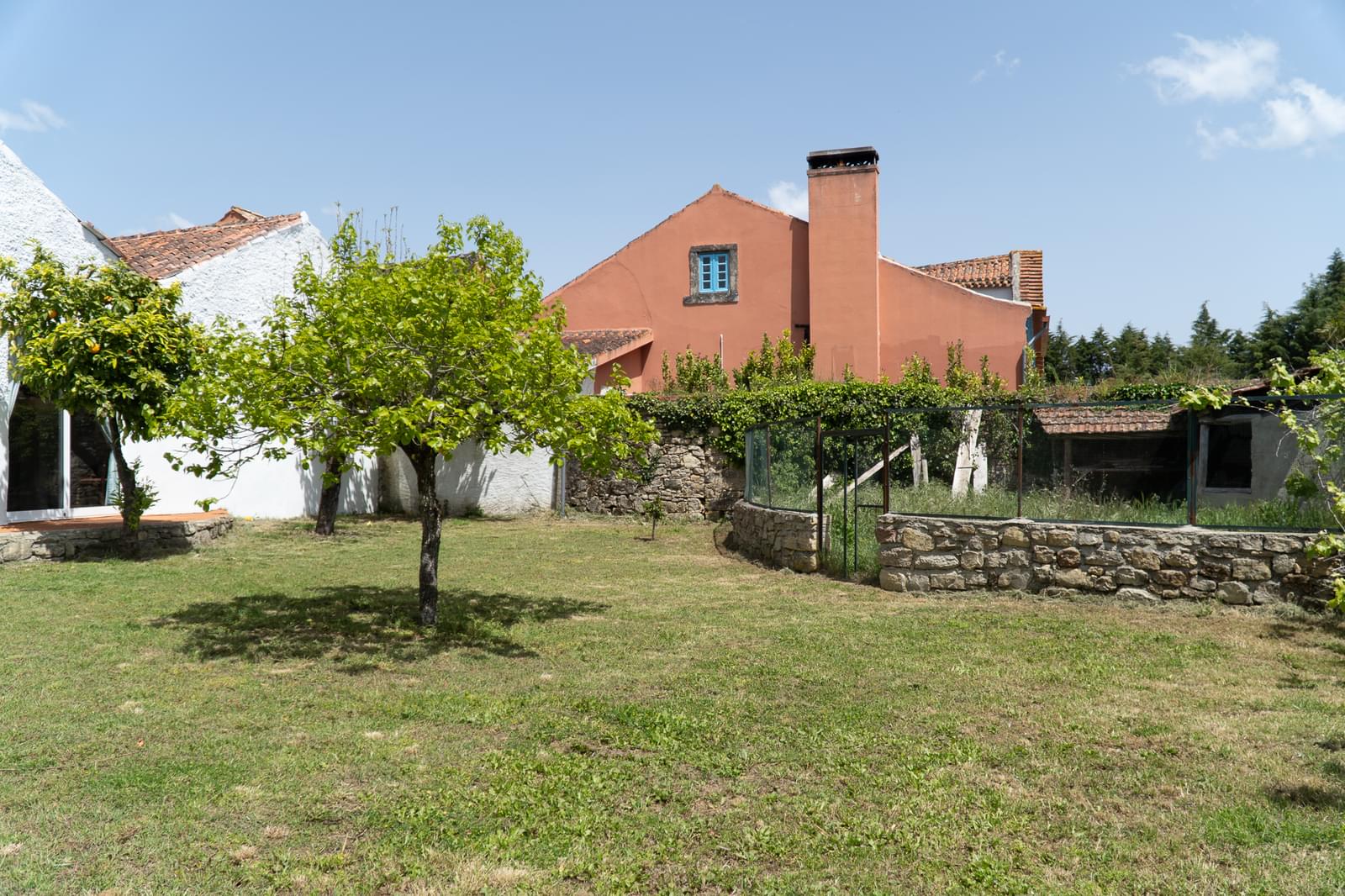 Quinta 7.1 ha, Miranda do Corvo - Imagem 4