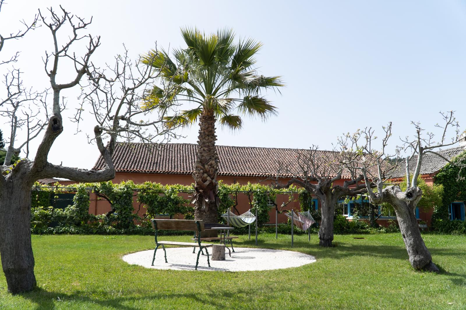 Quinta 7.1 ha, Miranda do Corvo - Imagem 8