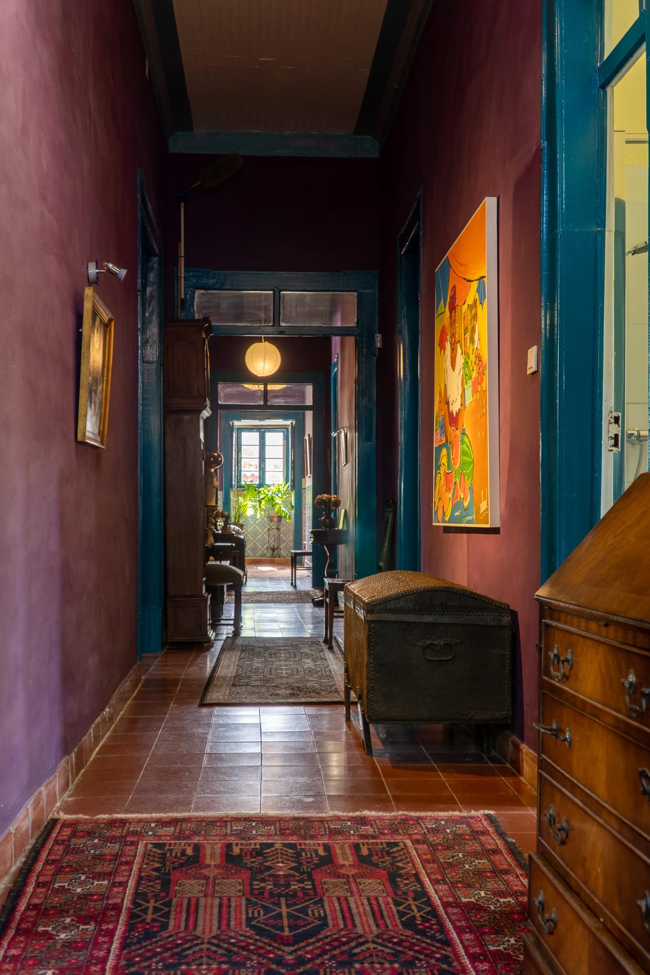 Quinta 7.1 ha, Miranda do Corvo - Imagem 22