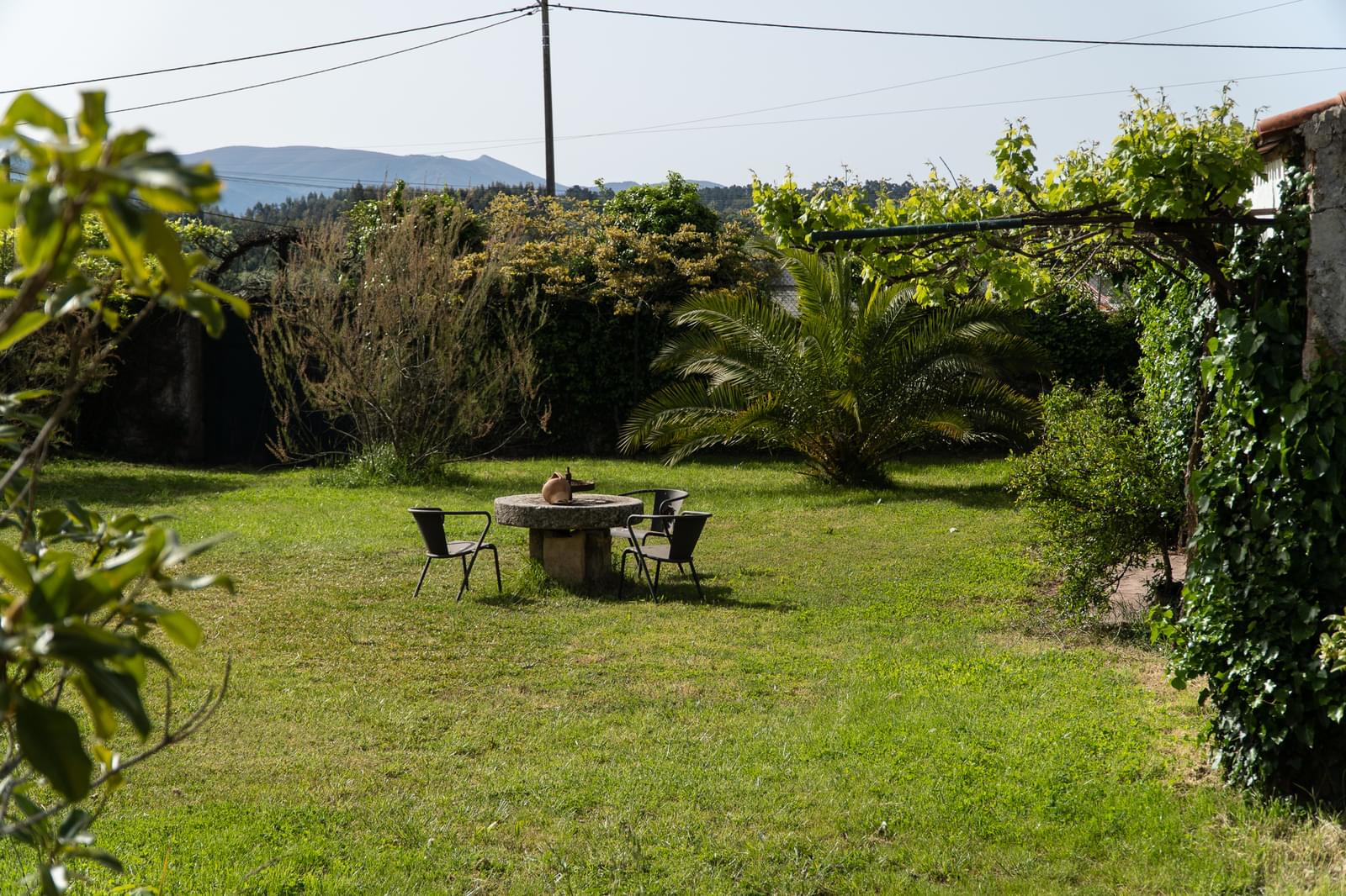 Quinta 7.1 ha, Miranda do Corvo - Imagem 38