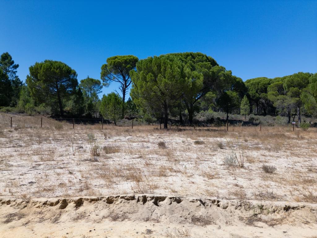 Land 9.4 ha, Muda, Grandola 1949376538