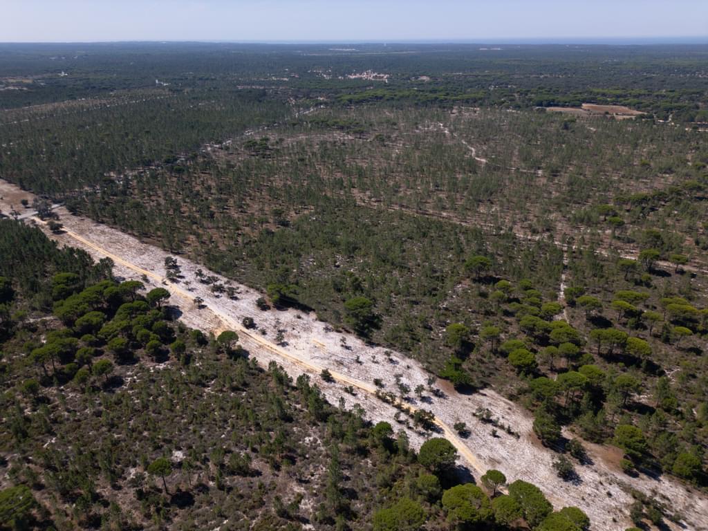 Land 9.4 ha, Muda, Grandola 1949376538