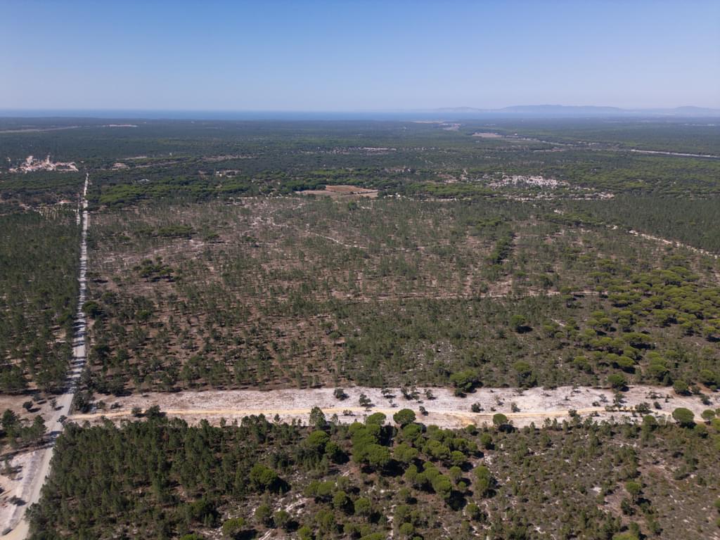 Land 9.4 ha, Muda, Grandola 1949376538