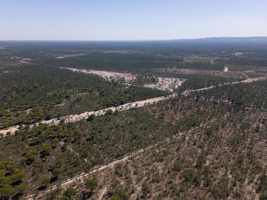 Land 9.4 ha, Muda, Grandola 1949376538
