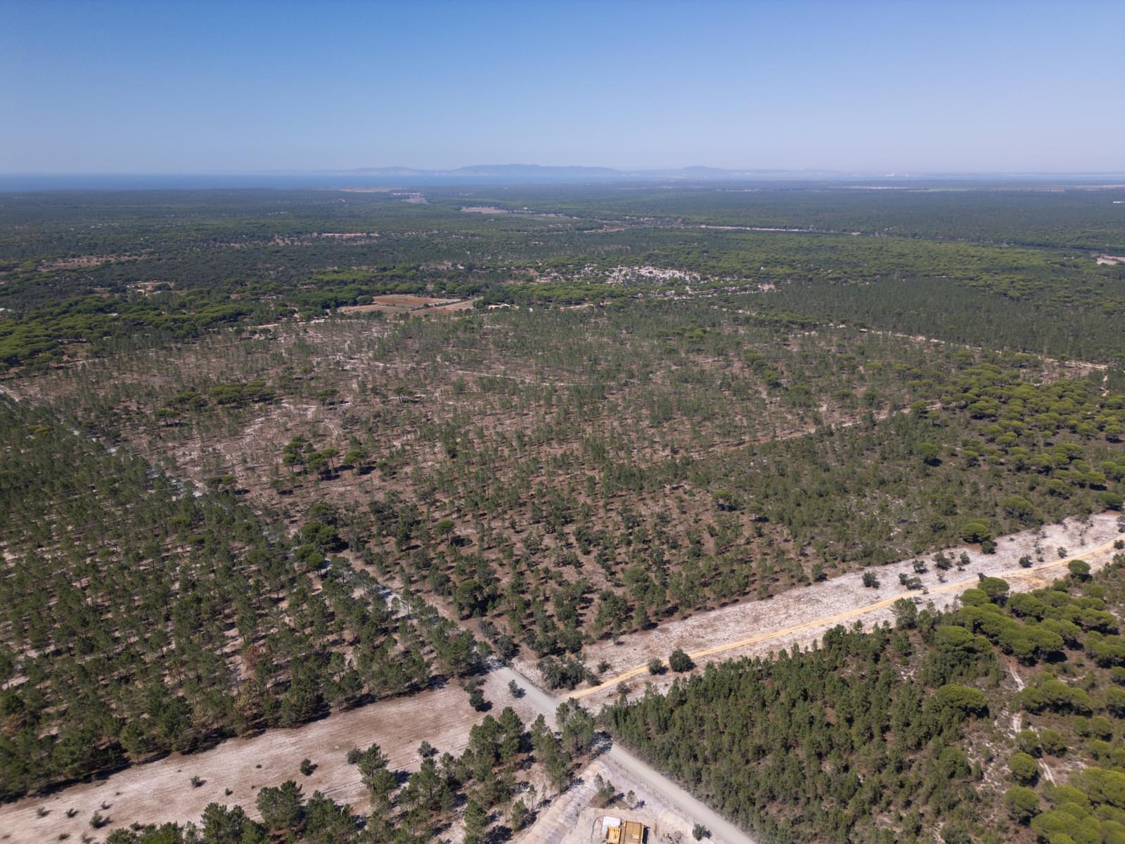 Terreno 9.4 ha, Muda, Grandola - Imagem 10