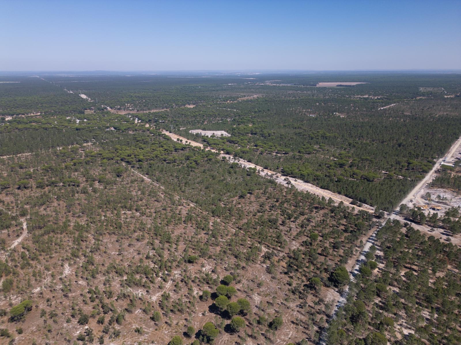 Terreno 9.4 ha, Muda, Grandola - Imagem 23