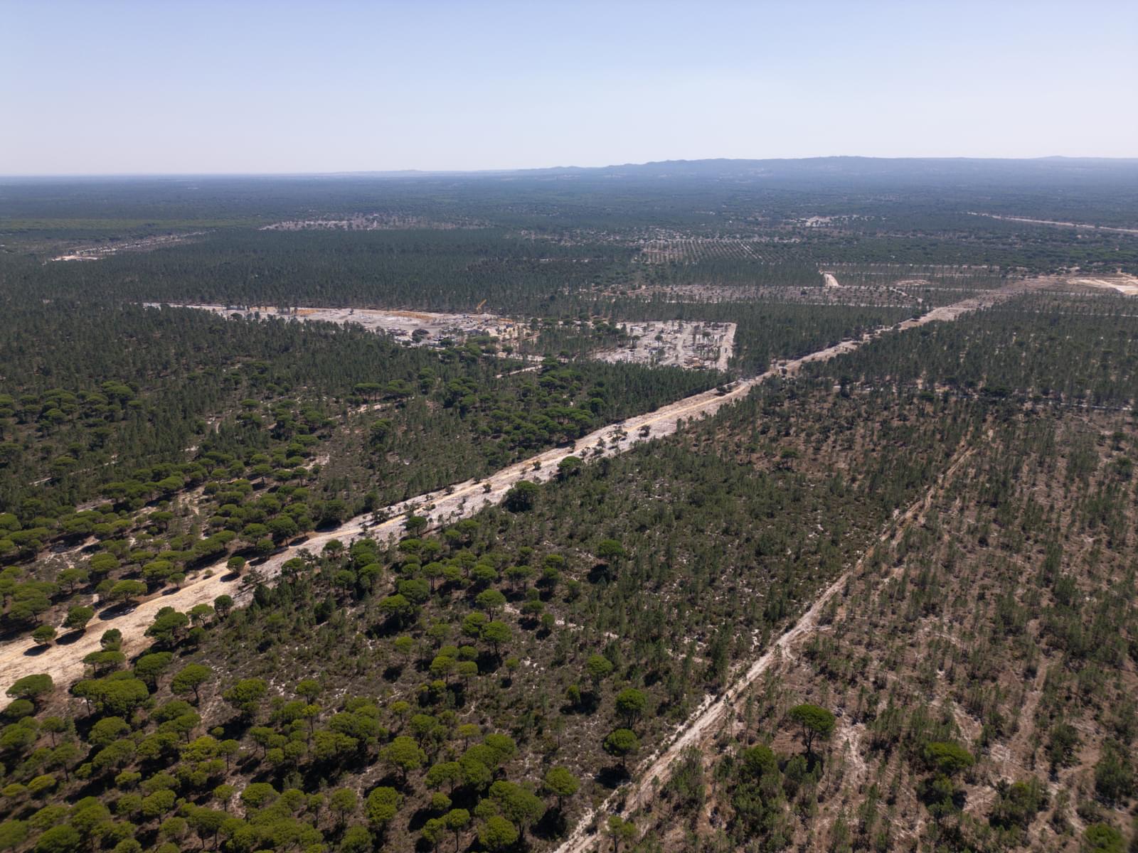 Terreno 9.4 ha, Muda, Grandola - Imagem 20