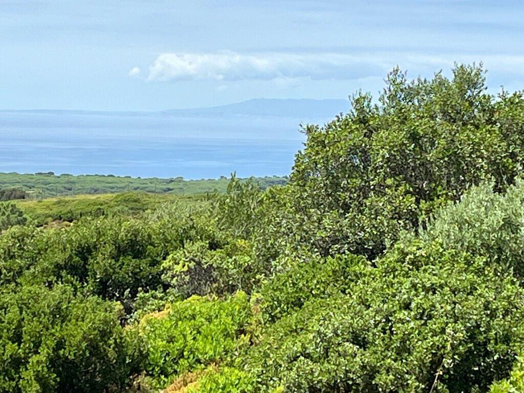 Mixed land 1.6 ha, Sesimbra 235266091